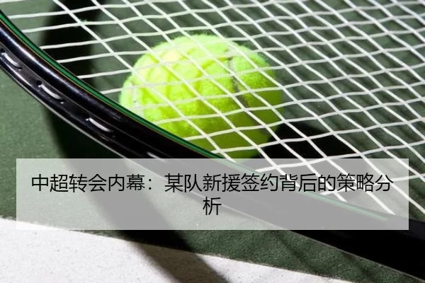 中超转会内幕：某队新援签约背后的策略分析